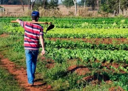 Agricultor familiar tem fundo de aval rural no Paraná - Conexão Agro