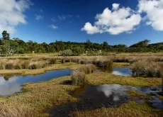 áreas úmidas, dia mundial da água, preservação, meio ambiente - conexão agro