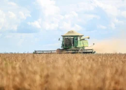 biossoluções bactérias fixadoras de nitrogênio soja conexão agro