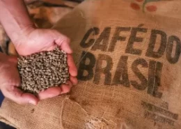 café práticas sustentáveis Seguro Rural Conexão Agro