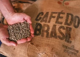 Café Paraná Exportação Cafés solúvel Conexão Agro