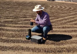 café umidade dos grãos medidor de umidade - Conexão Agro