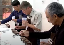 café qualidade paraná premiação conexão agro