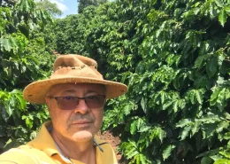 Cafeicultura Norte do Paraná Sebrae IG conexão agro