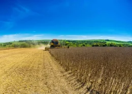 Cbsoja embrapa soja conexao agro