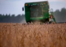 Colheita de soja - Conexão Agro
