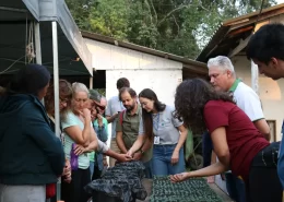 curso produção de mudas orgânicas IDR-Paraná Conexão Agro