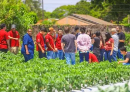 Cocriagro Unifil dia de campo susntentabilidade Conexão Agro
