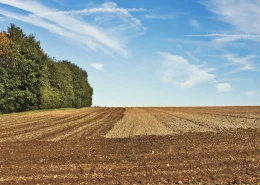 img_diligencias_terras_propriedades_sustentabilidADE_conexão_agro diligências de terras propriedade rural sustentabilidade conexão agro