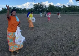 img_floresta_viva_biodiversidade_conexao_agro floresta viva biodiversidade conexao agro