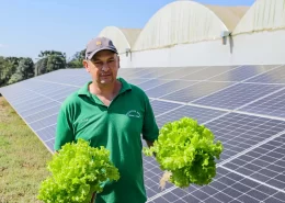 energia fotovoltaica redução de custo produtor hidropônicos Conexão Agro