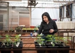 img_mariangela_hungria_influencer_clima_conexao_agro Mariangela Hungria personalidade influencia clima Lista climate 100 Conexão Agro