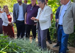 Agricultura familiar apoio BB e GF plantas medicinais Conexão Agro