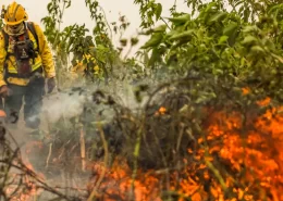 Queimadas na Amazônia e Pantanal