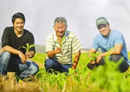 Mauá da Serra Sistema Plantio Direto Conexão Agro