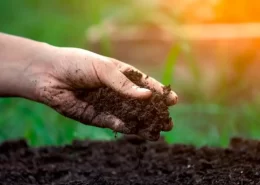 belagrícola tecnologias solo - Conexão Agro