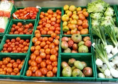 Tomates no supermercado - Conexão Agro
