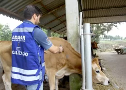 veterinários cadastramento aftosa e brucelose Conexão Agro