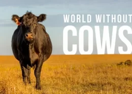 mundo sem vacas documentário conexão agro world whithout cows